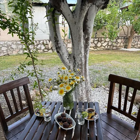 Ebru'ca 3* Selimiye (Aegean)