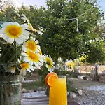 Ebru'ca